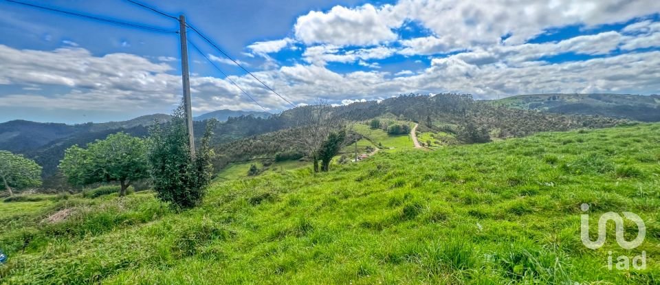 Terreny de 7.459 m² a Pulide (33456)