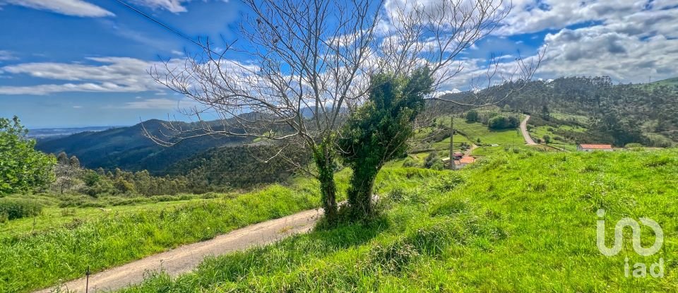 Terreny de 7.459 m² a Pulide (33456)