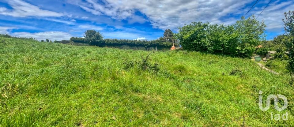 Terreny de 7.459 m² a Pulide (33456)