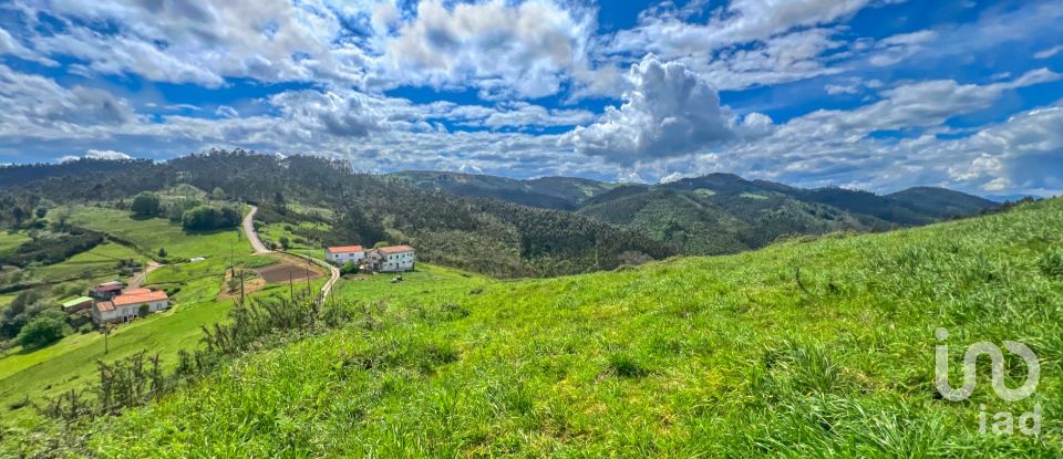 Terreny de 7.459 m² a Pulide (33456)