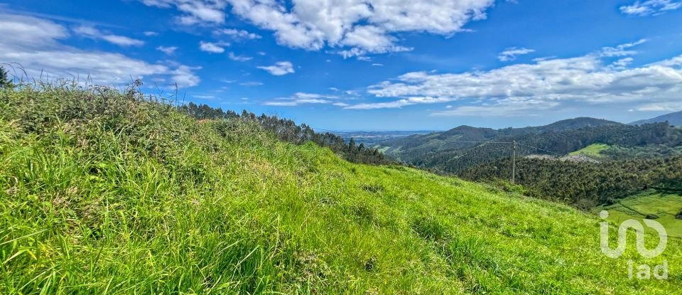 Terreny de 7.459 m² a Pulide (33456)