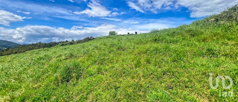 Terreny de 7.459 m² a Pulide (33456)