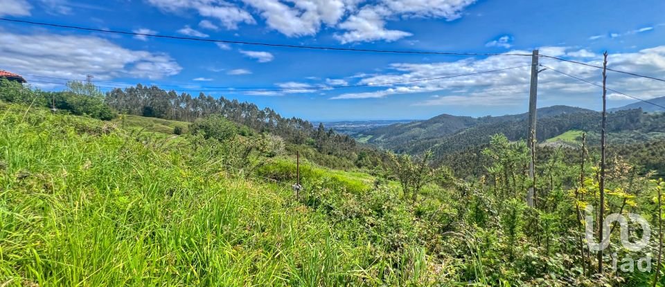 Terreny de 7.459 m² a Pulide (33456)