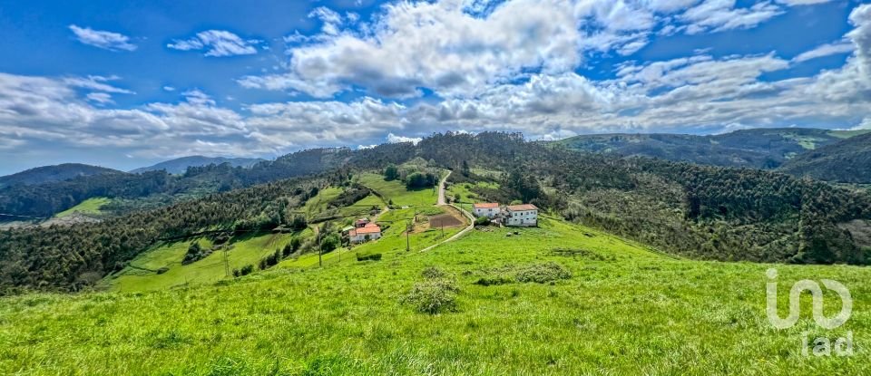 Terreny de 7.459 m² a Pulide (33456)