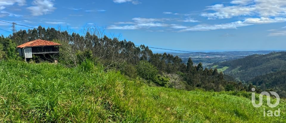 Terreny de 7.459 m² a Pulide (33456)