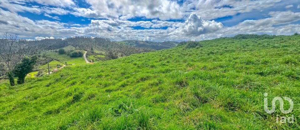 Terreny de 7.459 m² a Pulide (33456)