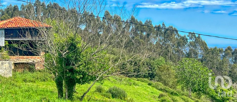 Terreny de 7.459 m² a Pulide (33456)