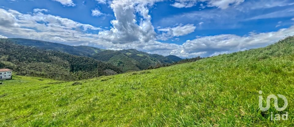 Terreny de 7.459 m² a Pulide (33456)