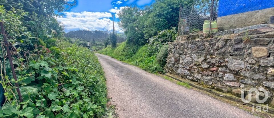 Terreny de 7.459 m² a Pulide (33456)