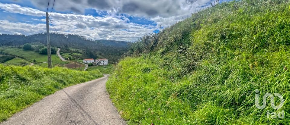 Terreny de 7.459 m² a Pulide (33456)