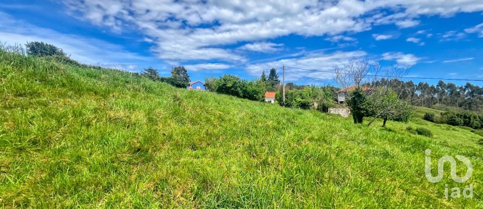 Terreny de 7.459 m² a Pulide (33456)