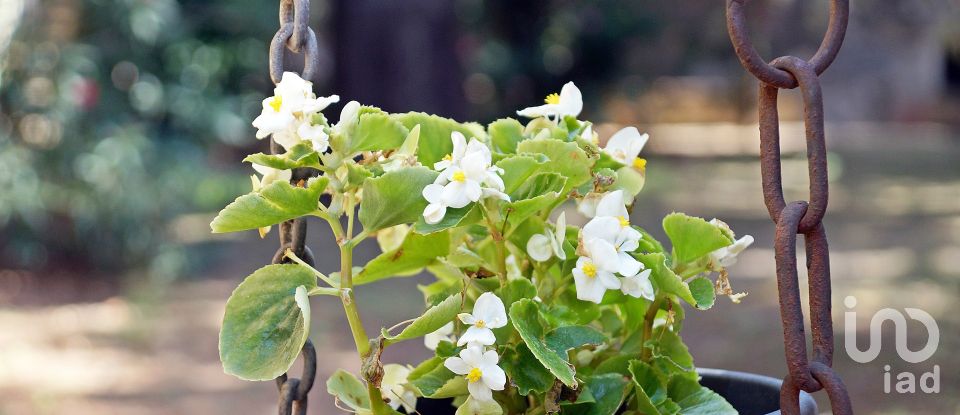 Casa señorial 12 habitaciones de 2.062 m² en Torroella de Montgrí (17257)