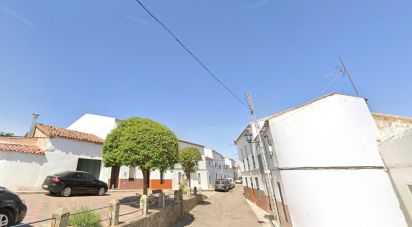 House 5 bedrooms of 333 m² in Malcocinado (06928)