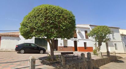 House 5 bedrooms of 333 m² in Malcocinado (06928)