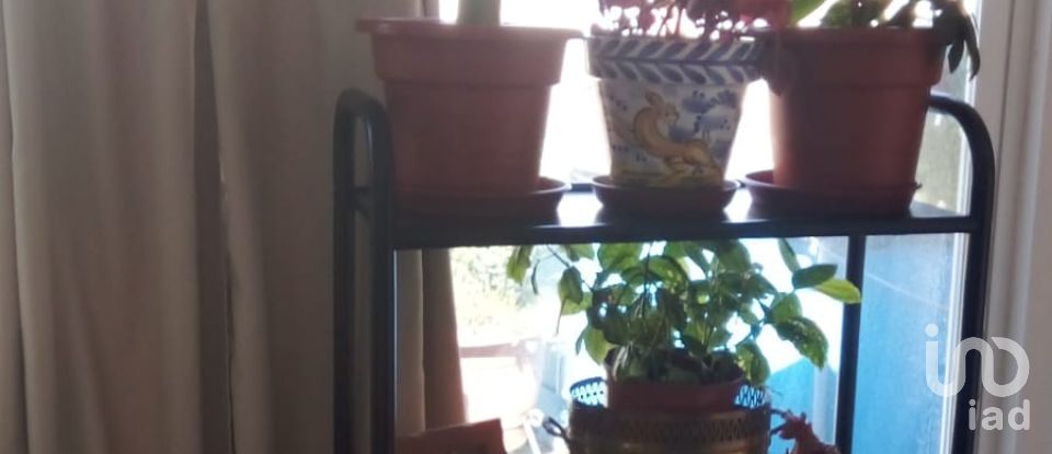 Casa 5 habitacions de 333 m² a Malcocinado (06928)