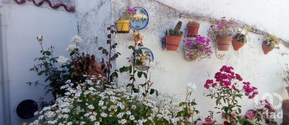 Casa 5 habitacions de 333 m² a Malcocinado (06928)