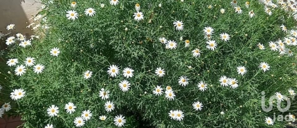 Casa 5 habitacions de 333 m² a Malcocinado (06928)