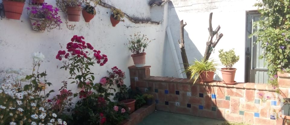 Casa 5 habitacions de 333 m² a Malcocinado (06928)