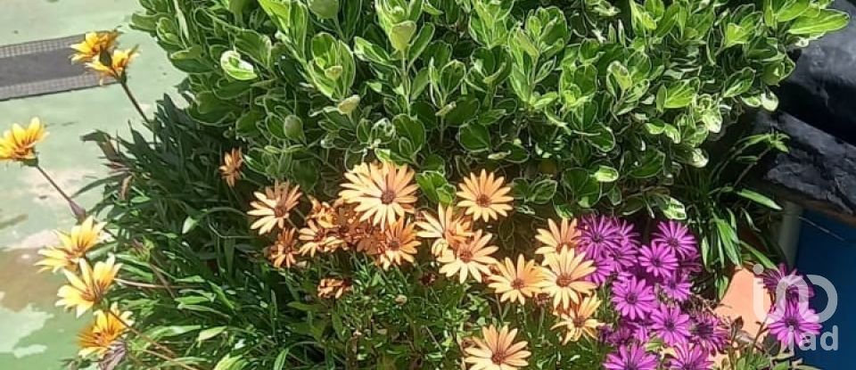 Casa 5 habitacions de 333 m² a Malcocinado (06928)