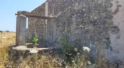Land of 14,060 m² in Sineu (07510)