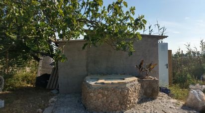 Land of 3,675 m² in Pobla (07420)