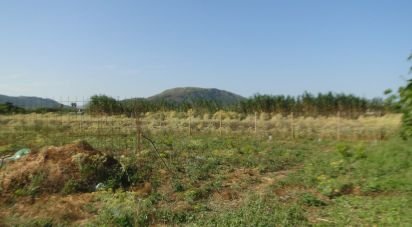 Land of 3,675 m² in Pobla (07420)