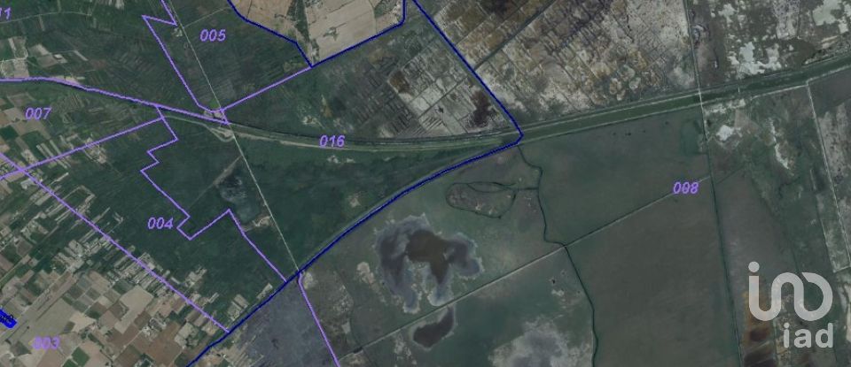 Land of 3,675 m² in Pobla (07420)