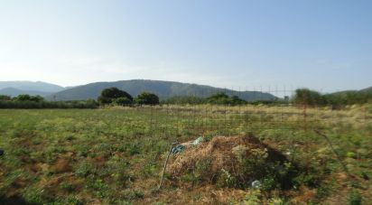 Land of 3,675 m² in Pobla (07420)