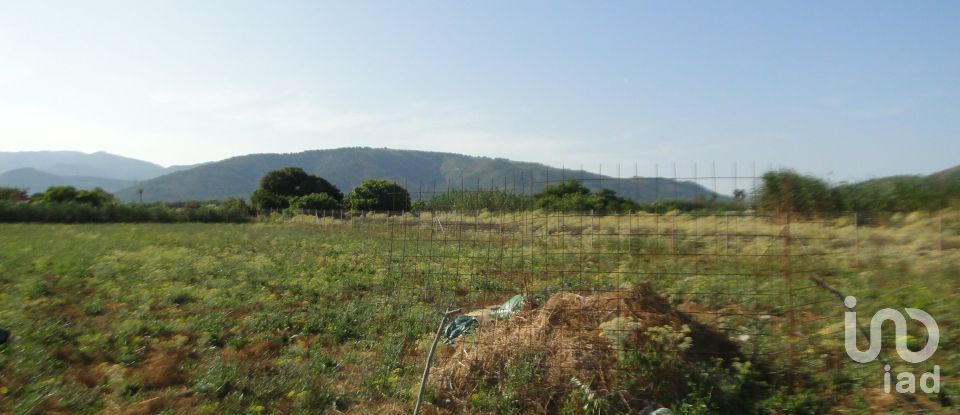 Land of 3,675 m² in Pobla (07420)