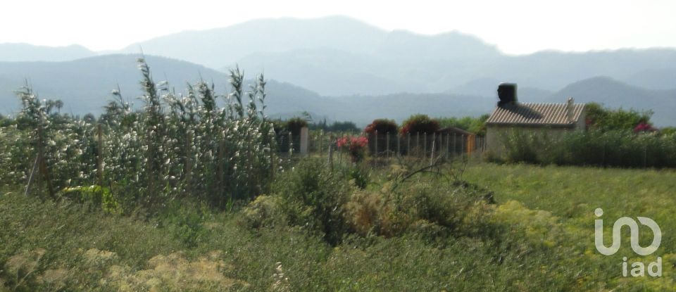 Land of 3,675 m² in Pobla (07420)