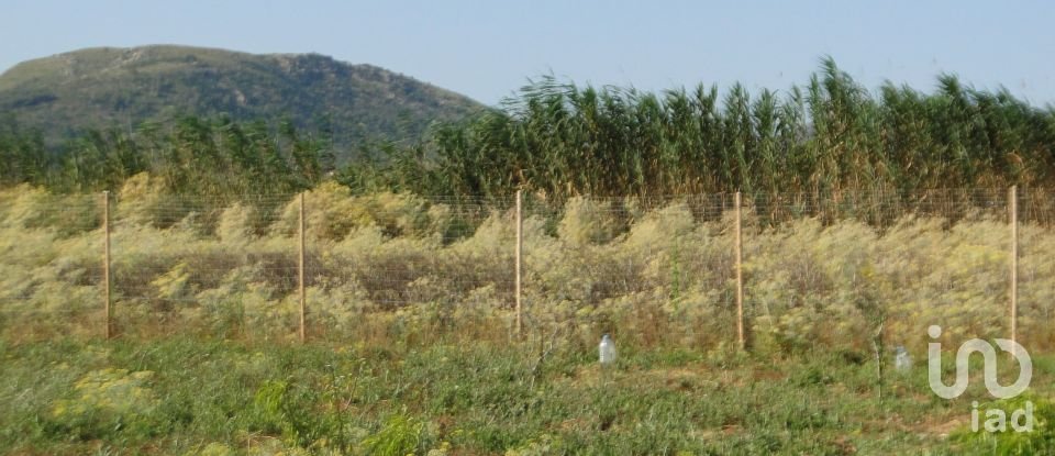 Land of 3,675 m² in Pobla (07420)