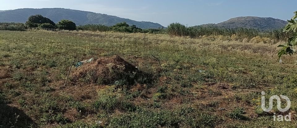 Land of 3,675 m² in Pobla (07420)