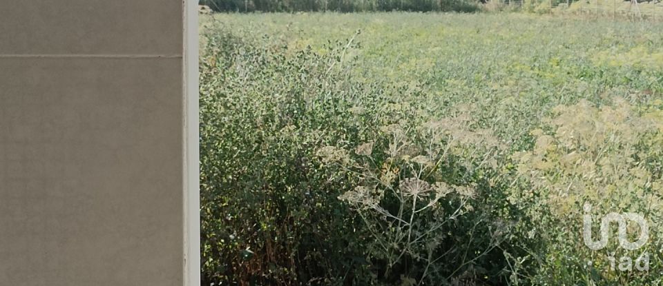 Land of 3,675 m² in Pobla (07420)