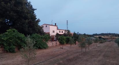 Land of 11,537 m² in Falset (43730)