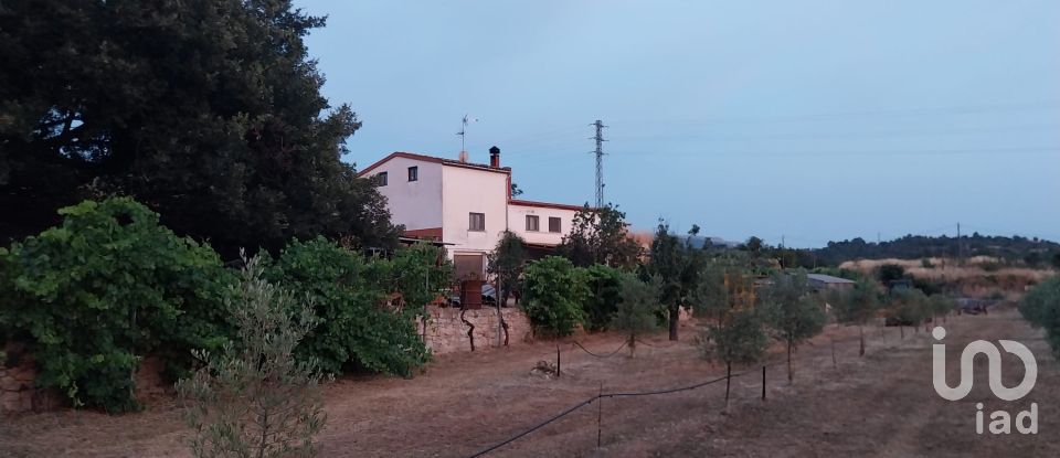 Land of 11,537 m² in Falset (43730)