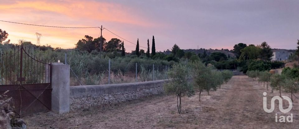 Land of 11,537 m² in Falset (43730)