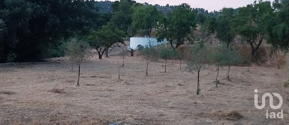 Land of 11,537 m² in Falset (43730)