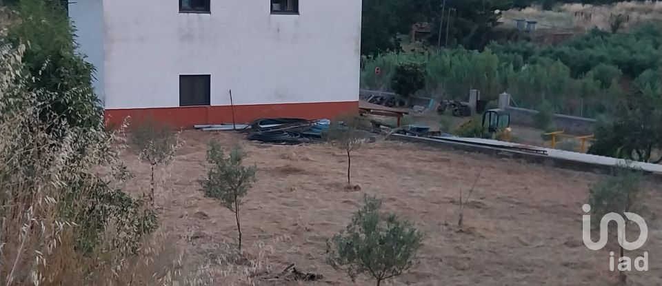 Land of 11,537 m² in Falset (43730)