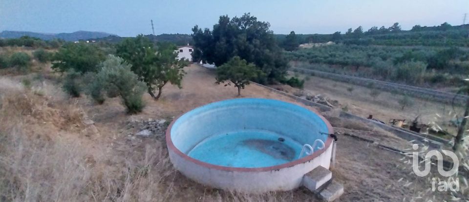 Land of 11,537 m² in Falset (43730)