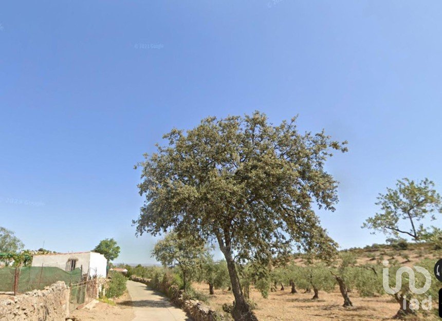 Terreno de 1.529 m² en Malcocinado (06928)