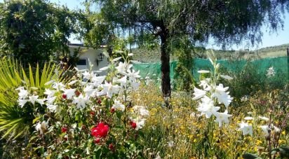 Land of 1,529 m² in Malcocinado (06928)