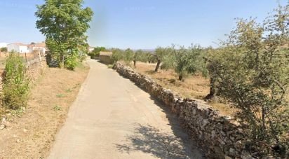 Land of 1,529 m² in Malcocinado (06928)