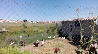 Land of 1,529 m² in Malcocinado (06928)