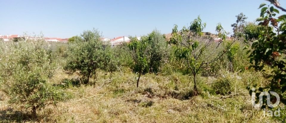 Terreno de 1.529 m² en Malcocinado (06928)