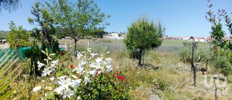 Terreno de 1.529 m² en Malcocinado (06928)