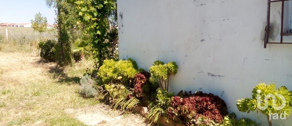 Terreno de 1.529 m² en Malcocinado (06928)