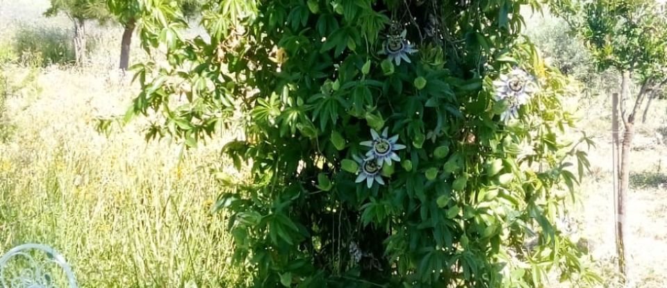 Terreno de 1.529 m² en Malcocinado (06928)