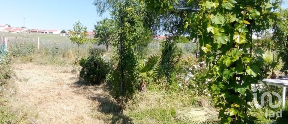 Terreno de 1.529 m² en Malcocinado (06928)