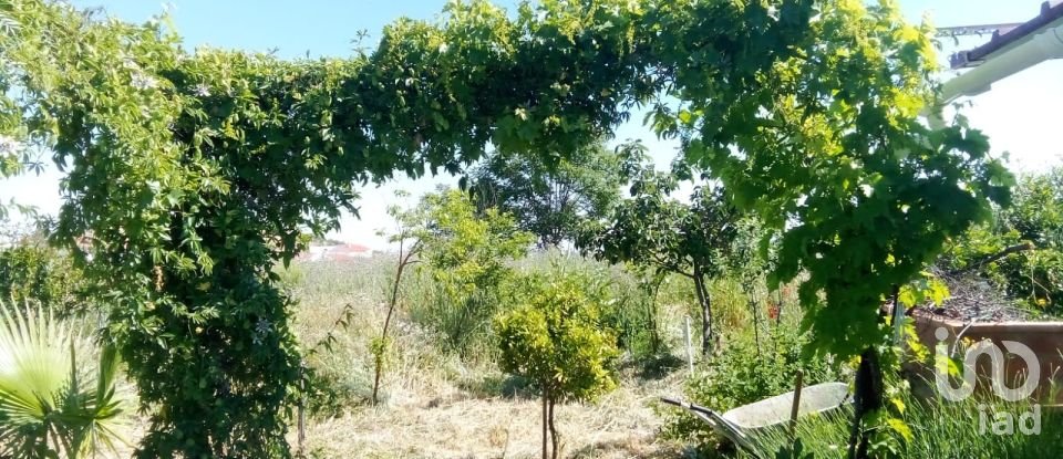 Terreno de 1.529 m² en Malcocinado (06928)