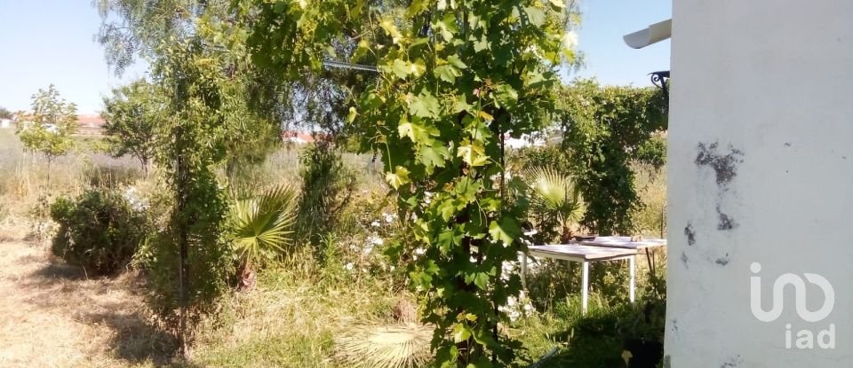 Terreno de 1.529 m² en Malcocinado (06928)